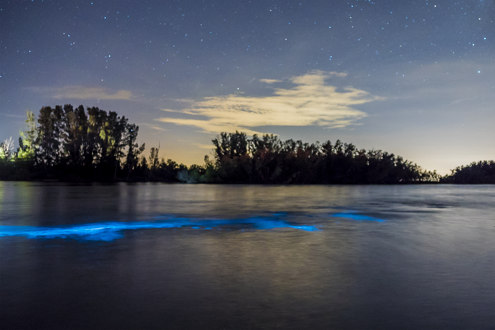 An evening photo of the middle of a lake showcasing trees in the background with a lit-up blue stream through it to showcase the bioluminescent glow of the water at night.